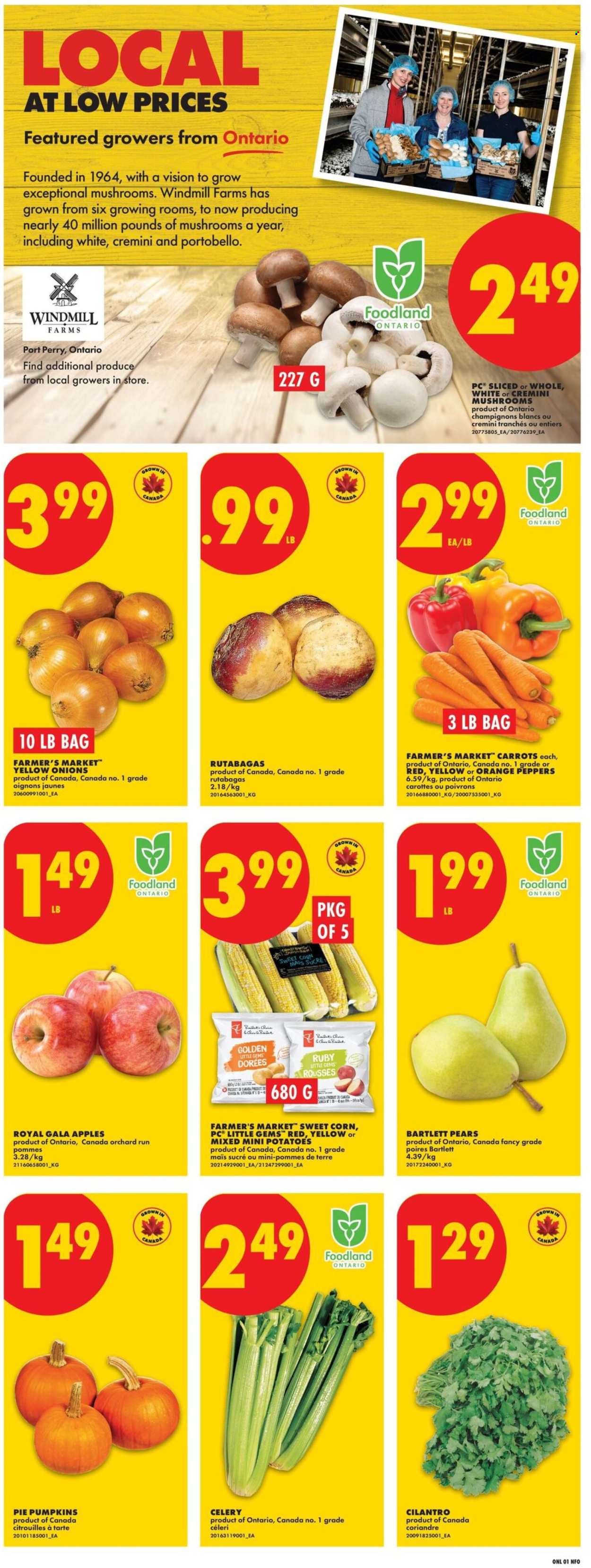 Circulaire No Frills - 24 Septembre 2026 - 30 Septembre 2026. Page 3
