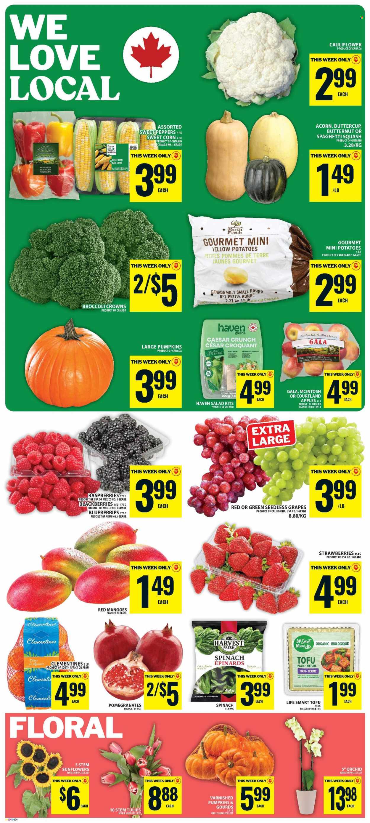 Circulaire Food Basics - 24 Septembre 2026 - 30 Septembre 2026. Page 3