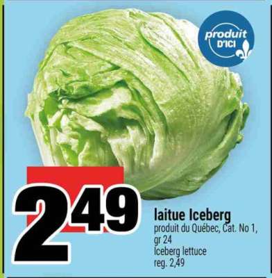 laitue Iceberg