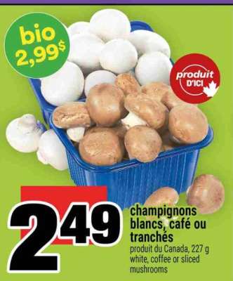 champignons blancs, café ou tranchés