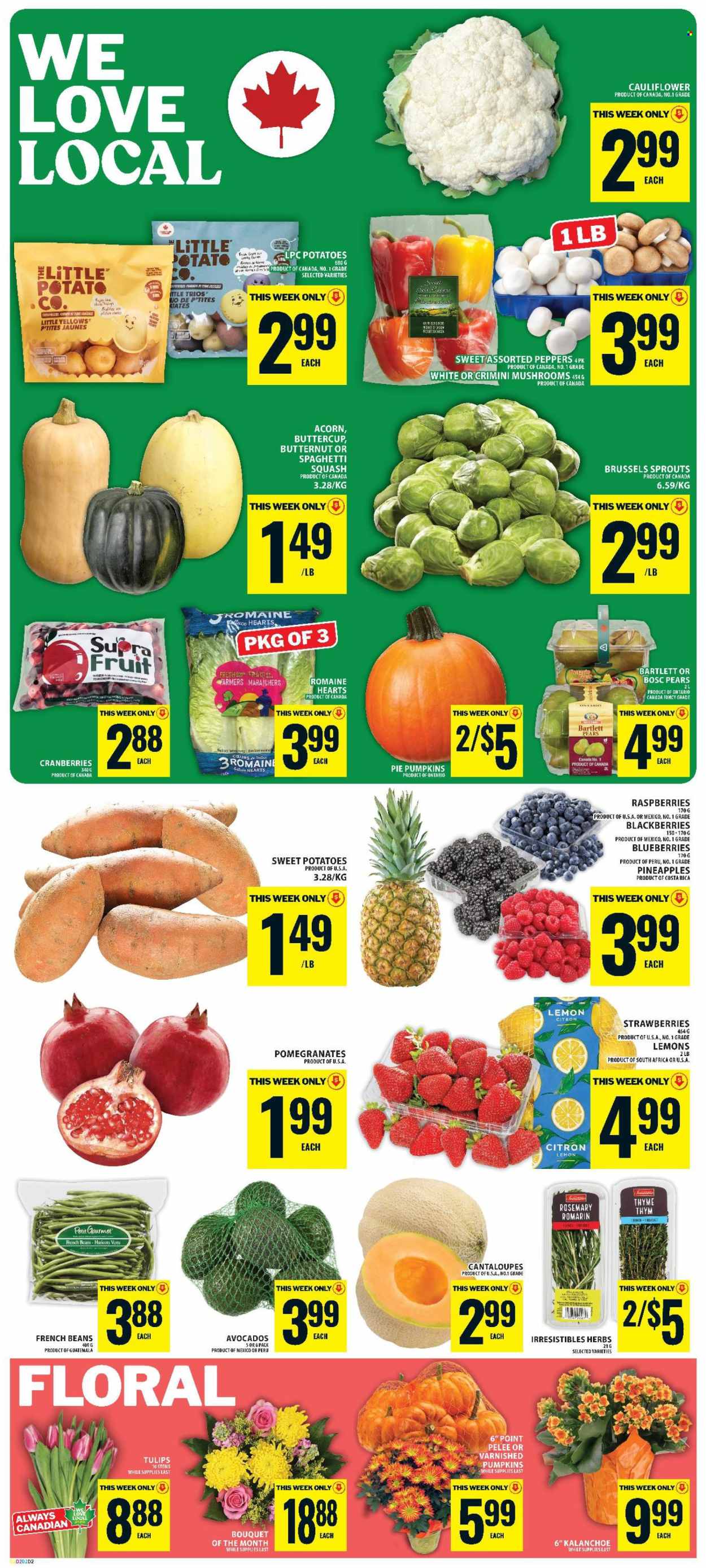 Circulaire Food Basics - 01 Octobre 2026 - 07 Octobre 2026. Page 3