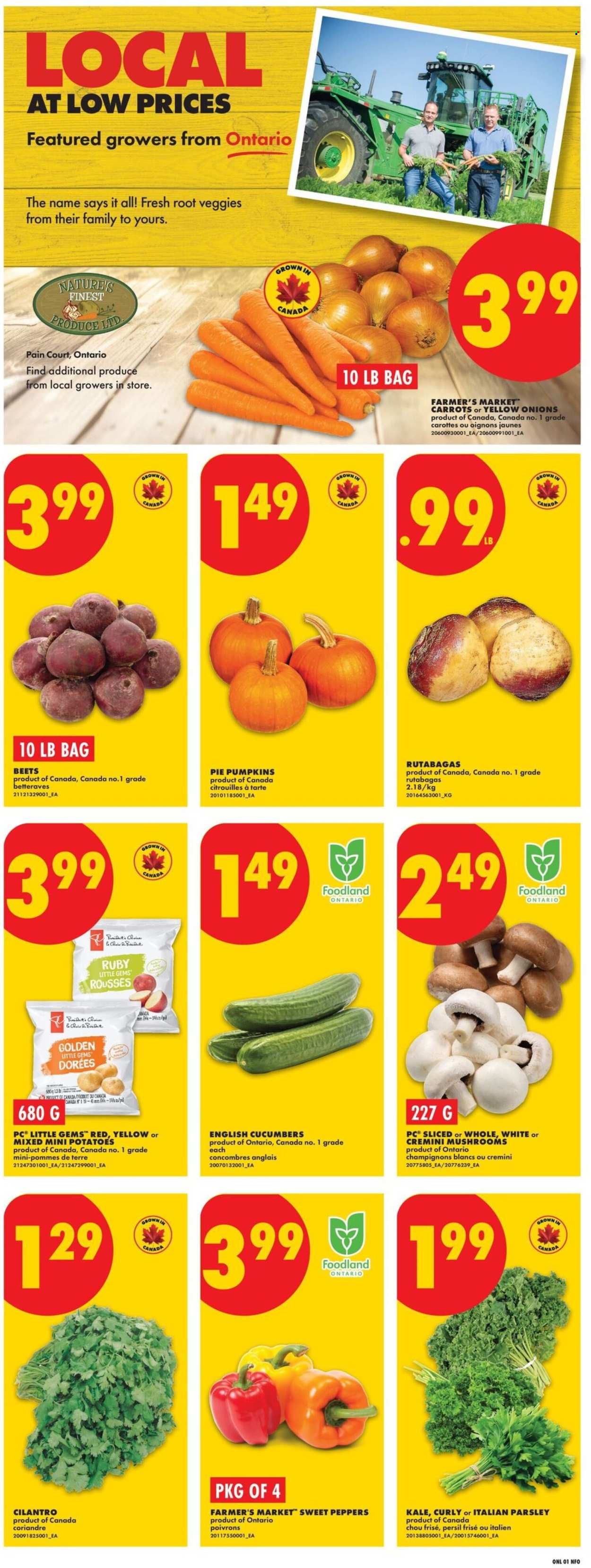 Circulaire No Frills - 01 Octobre 2026 - 07 Octobre 2026. Page 3