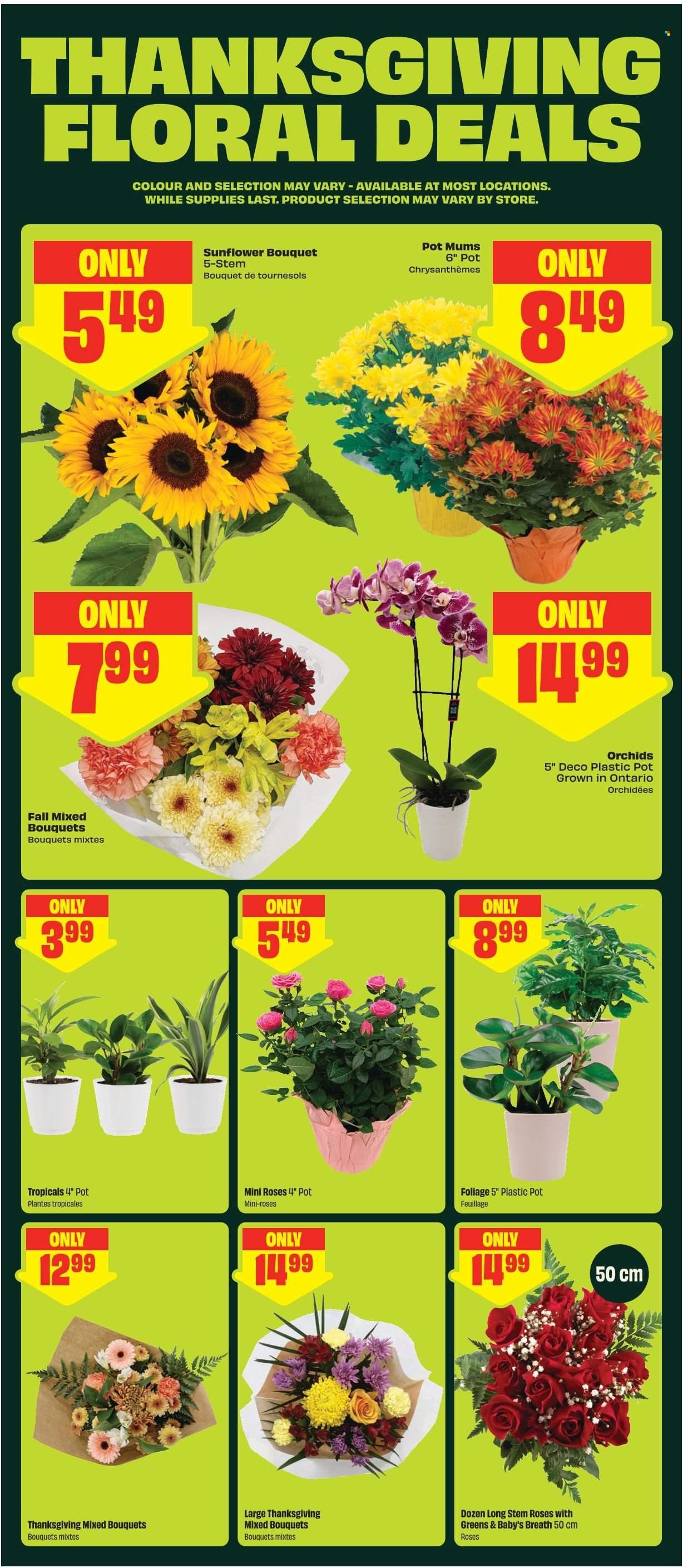 Circulaire FreshCo. - 01 Octobre 2026 - 07 Octobre 2026. Page 6