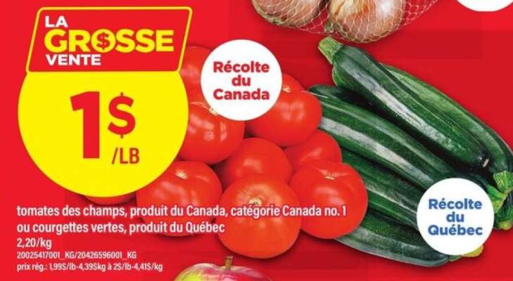 Tomates des champs ou courgettes vertes