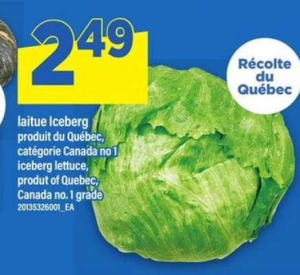 laitue Iceberg