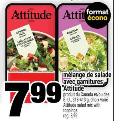 MÉLANGE DE SALADE AVEC GARNITURES ATTITUDE