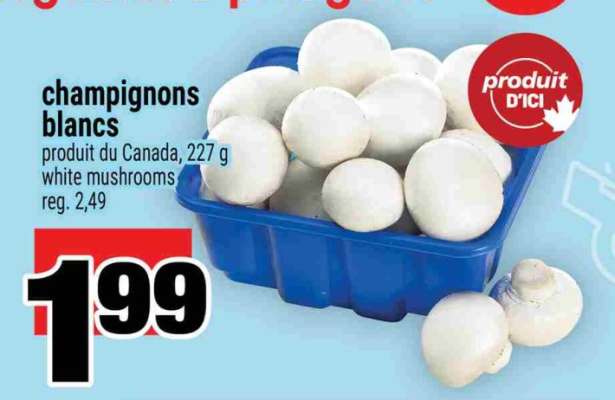 CHAMPIGNONS BLANCS
