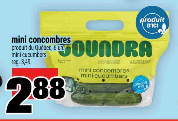 mini concombres