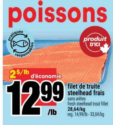 FILET DE TRUITE STEELHEAD FRAIS