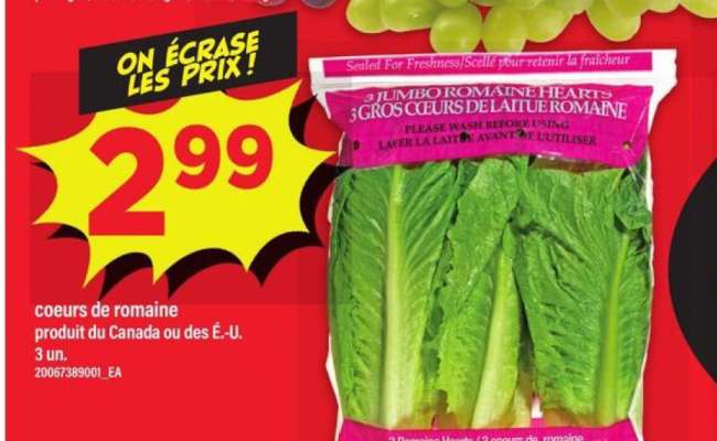 COEURS DE ROMAINE