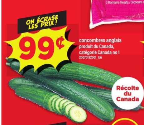 CONCOMBRES ANGLAIS