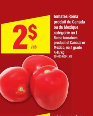 TOMATES ROMA
