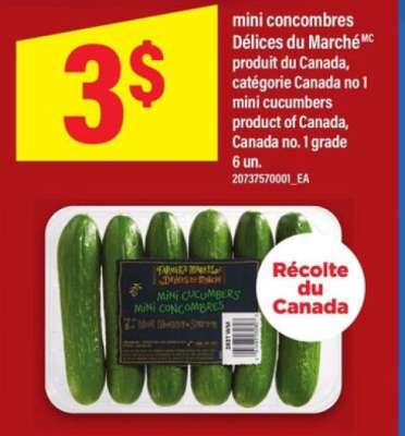 MINI-CONCOMBRES DÉLICES DU MARCHÉ