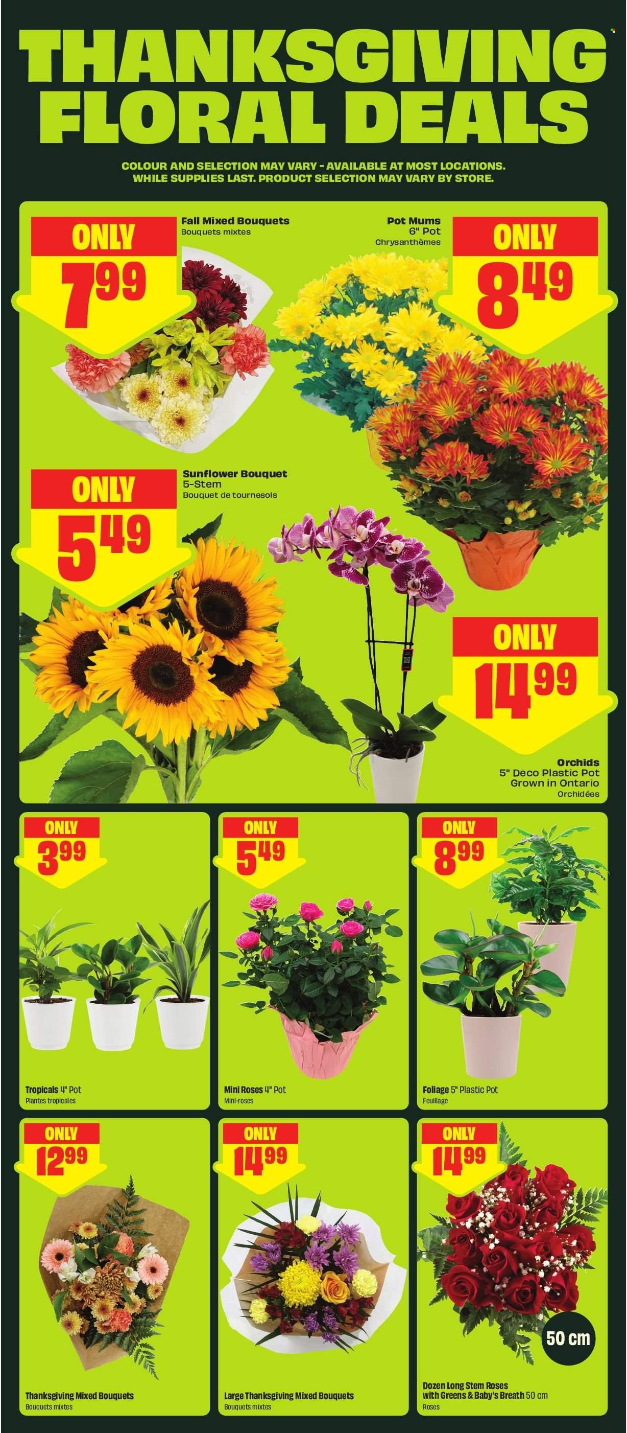 Circulaire FreshCo. - 08 Octobre 2026 - 14 Octobre 2026. Page 6