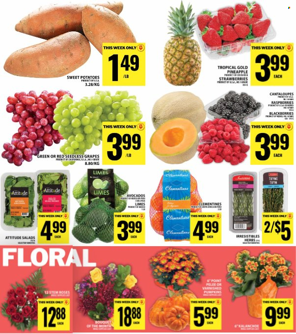 Circulaire Food Basics - 08 Octobre 2026 - 14 Octobre 2026. Page 6