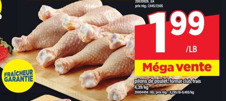 pilon de poulet, format club, frais