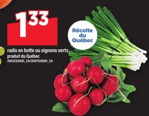 Radis en botte ou oignons verts