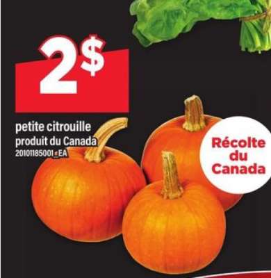 petite citrouille