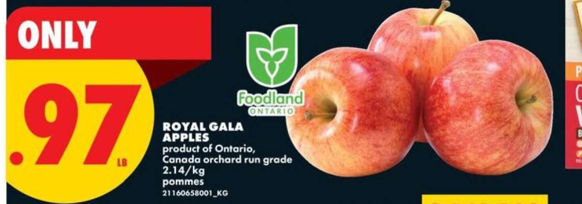 ROYAL GALA APPLES