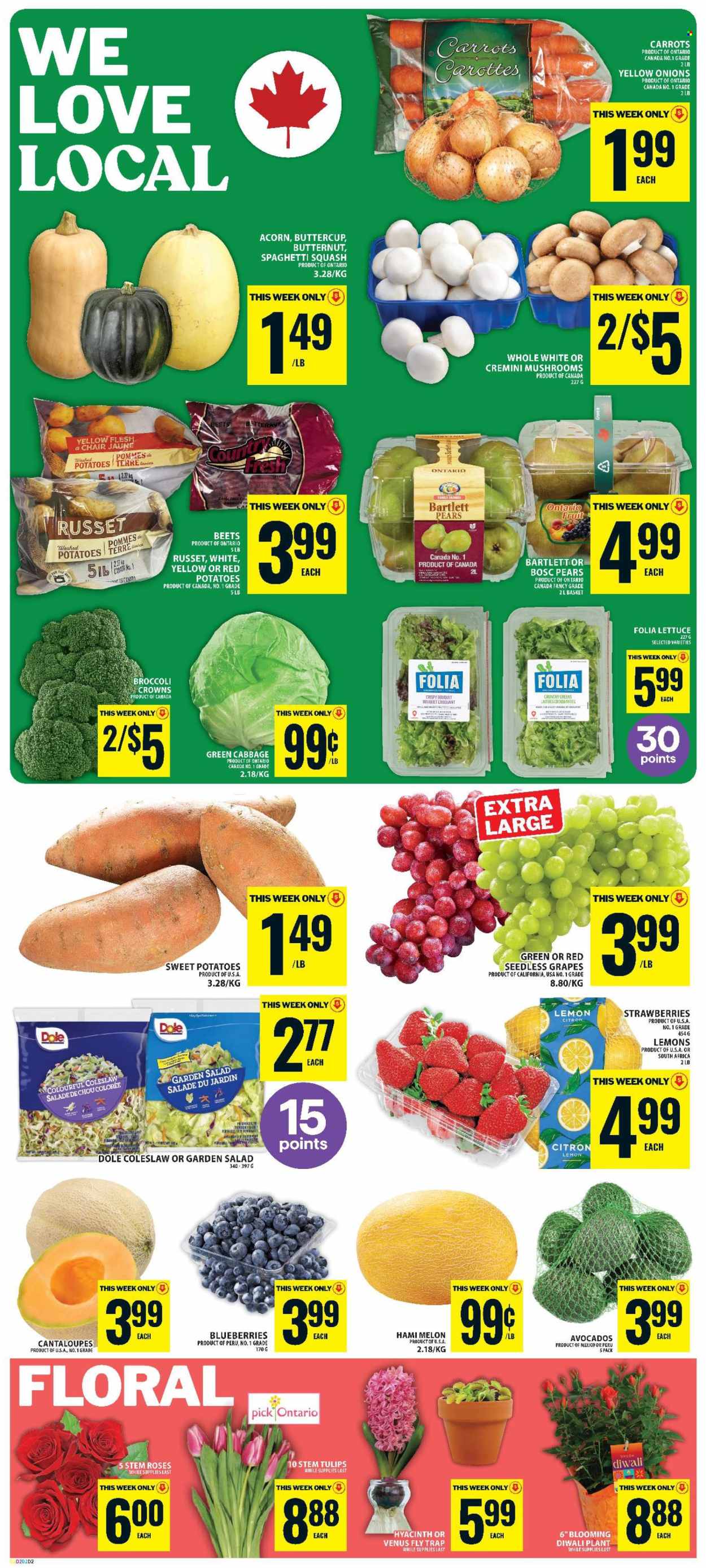 Circulaire Food Basics - 22 Octobre 2026 - 28 Octobre 2026. Page 4