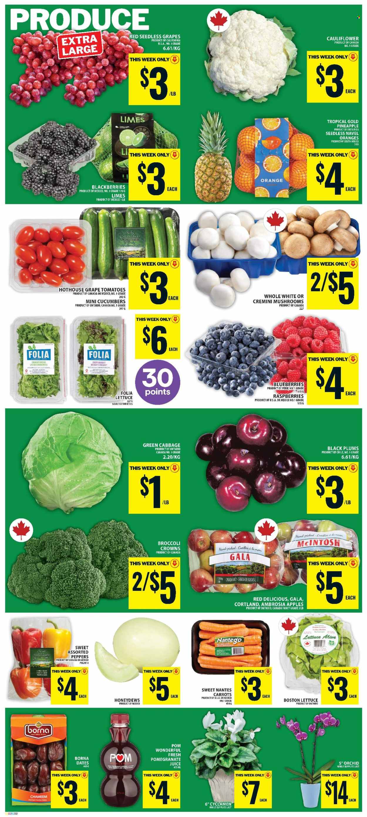 Circulaire Food Basics - 29 Octobre 2026 - 04 Novembre 2026. Page 5